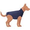 CAMON CANE TUTINA POST OPERATORIA "EXCLUSIVE" TG. 27 BLU