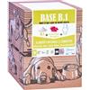 NUTRIGENE BASE B UNO CARTONE 3 KG