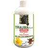 Trauma Plus 500 ml