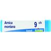 BOIRON Arnica Montana 9Ch Diluizione Hahnemanniana Centesimale In Globuli