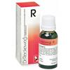 DR.RECKEWEG Dr. Reckeweg R42 Gocce Omeopatiche 22 ml