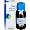 Boiron Ribes Nigrum Gemme 60 ml mg