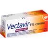 Vectavir Crema 1% 2 g