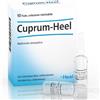 Guna-Heel Cuprum Soluzione Iniettabile Medicinale Omeopatico 10 Fiale