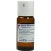 WELEDA Arnica Planta Tota Orale Gocce D6 50 ml