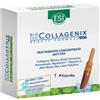 Esi Biocollagenix Ampolla Sing