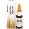 Guna-Heel Euphorbium Compositum Spray Nasale S 20 ml