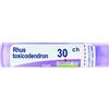 Boiron Rhus Toxicodendron 30CH Granuli Medicinale Omeopatico 4 g