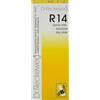 DR.RECKEWEG Dr. Reckeweg R14 Rimedio Omeopatico Gocce 50 Ml