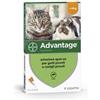 ADVANTIX Advantage Spot On Gatti/Conigli 4X40 Mg 4 X 0,4Ml