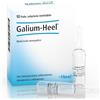 Guna-Heel Galium Soluzione Omeopatica Iniettabile 10 Fiale