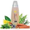 B.O.T Cosmetic & Wellness - Olio Anticellulite 100% Naturale | Effetto Snellente | Risultati in 4 Settimane | Ingredienti Naturali | Assorbimento Profondo, 200 ml
