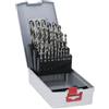 Bosch Accessories Bosch Professional 25 pz. Set di punte per metallo HSS-G ProBox (per acciaio, Ø 1-13 mm, accessori trapano avvitatore e trapano a colonna)