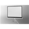 Celexon Celexon 1090269 schermo per proiettore Bianco 4:3 1090269