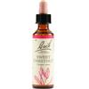 SCHWABE PHARMA ITALIA Sweet Chestnut Fiori Di Bach Originale 20 Ml