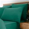 Catherine Lansfield So Soft - Lenzuolo con angoli, per letto singolo, non necessita di stiratura,