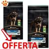 Purina Dog Pro Plan Adult Large Robust Agnello - Offerta [PREZZO A CONFEZIONE] Quantità Minima 2, Sacco Da 14 Kg
