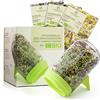growgreens Set di calici per pioli con 3 semi biologici - Kit di coltivazione per microgreens per germogli croccanti (erba medica, fagioli mung, ravanelli)
