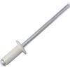 AERZETIX - C57110 - Set di 50 rivetti ciechi Ø4x10mm colore avorio RAL 1015 - in acciaio/alluminio - rivetto pop a rottura stelo