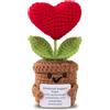 Aruigu Pocket Hug Positive Patate Lana Bambola Regalo di esame per Bachelor e Maestri portafortuna, regalo di incoraggiamento, decorazione positiva tedesca