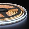 FCOB COB CCT Striscia LED Bianco caldo-Bianco freddo(3000K-6000K) 5M DC12V | 640LEDs/m 10mm CRI90+ Flessibile Alta densità sintonizzabile Dimmerabile per decorazioni DIY(Non Controllore alimentatore)