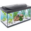Tetra Starter Line Acquario LED, Set Completo con Illuminazione a LED, Acquario Stabile per Principianti con Tecnologia, Cibo e Prodotti per la Cura, 54 L, Nero/Trasparente, 61 x 36 x 32 cm