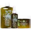 ECHOSLINE Kit Maqui 3 All-In Shampoo 385ml + Maschera 250ml + All-in Oil 100ml