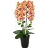 Flair Flower Orchidea artificiale in vaso, fiore artificiale, orchidea artificiale, orchidea artificiale, phalaenopsis, con vaso per piante artificiali, come decorazione per matrimoni, fiori di seta, fiori reali
