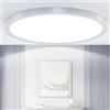 Taipow 18W 2448LM 6500K Plafoniera Led Soffitto Moderna, IP44 Lampada da Soffitto Rotonda per Garage Corridoio Bagno Camera da letto Cucina Seminterrato Ø22CM