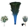 SMTCM 5 piume di pavone naturali lunghe 80-90 cm, vere piume di coda di pavone colorate, per fai da te, decorazioni per matrimoni, feste (blu)