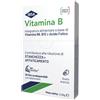 IBSA FARMACEUTICI ITALIA Srl VITAMINA B 30 Film Orali IBSA