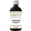 Dr.giorgini Ser-Vis Srl Viburno Liquido Analcolico Gemmo 10+ 500 Ml ml Soluzione orale