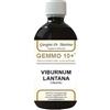 Dr. Giorgini VIBURNO LIQUIDO ANALCOLICO GEMMO 10+ 500 ML