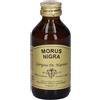 Dr.giorgini Ser-Vis Srl Gelso Ne 100Ml Analco Gemmo10+ 100 ml Soluzione orale