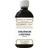 DR.GIORGINI SER-VIS SRL VIBURNO LIQ ANALCOLICO 500ML
