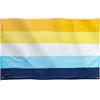 Runesol Aroace, bandiera LGBT, 91 x 52 cm, 4 occhielli, bandiera Pride, bandiera Premium per interni ed esterni, colori vivaci