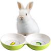 Navaris Ciotola Doppia Ceramica - Ciotole per Cani e Gatti Cuccioli - Adatta a Conigli e Porcellini d'india - per Animali di Piccole Dimensioni - Set Cibo e Acqua - Verde