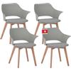 Albatros International Albatros Aalborg, set da 4 sedie da pranzo, gambe in legno di faggio massiccio, design scandinavo, comoda sedia da cucina, sedia da pranzo per tavolo da pranzo