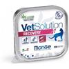 Monge Gatto Vetsolution Recovery 100 g