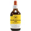 CENTO FIORI Srl BETULLA VER LINFA 100ML MG