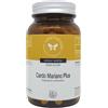CENTO FIORI Srl CARDO MARIANO PLUS 100CPS VEG