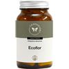CENTO FIORI Srl ECOFLOR 100CPS VEG
