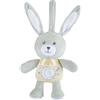 CHICCO GIOCO FD LULLABY STARDUST BUNNY