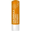 Marco Viti Calendula Stick Labbra Nutriente 4,5ml