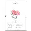 Lupia - Cornice a Giorno APPLY con Pannello Frontale Crilex in Acrilico, Made in Italy, Trasparente, per foto, documenti, pergamene, diplomi, stampe artistiche, poster, quadri moderni 50x60 cm