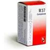 DR.RECKEWEG & CO. GmbH Reckeweg r37 100cpr 0,1g - DR.RECKEWEG - 800582734