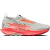 NIKE Scarpe da running Pegasus Trail 5 GORE-TEX