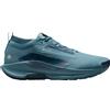 NIKE Scarpe da running Pegasus Trail 5 GORE-TEX