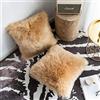 YDFYX Federa Cuscino,in Lana Artificiale Fodera per Cuscino, Super Soft Fodera per Cuscino in Pelle Deluxe Home Decor Decorativo Camera da Letto Federa Divano (2Pcs Marrone, 45X45 cm)