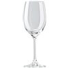 Rosenthal Divino Red Wine Glass